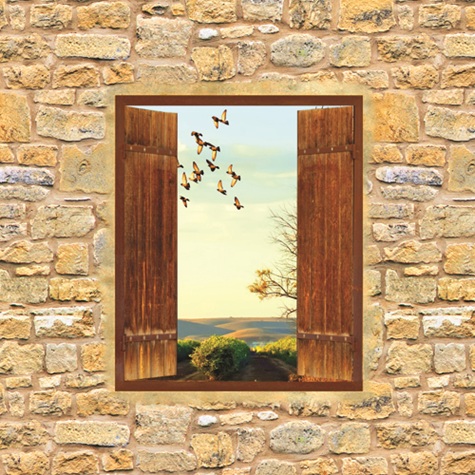 Açık kapı politikası